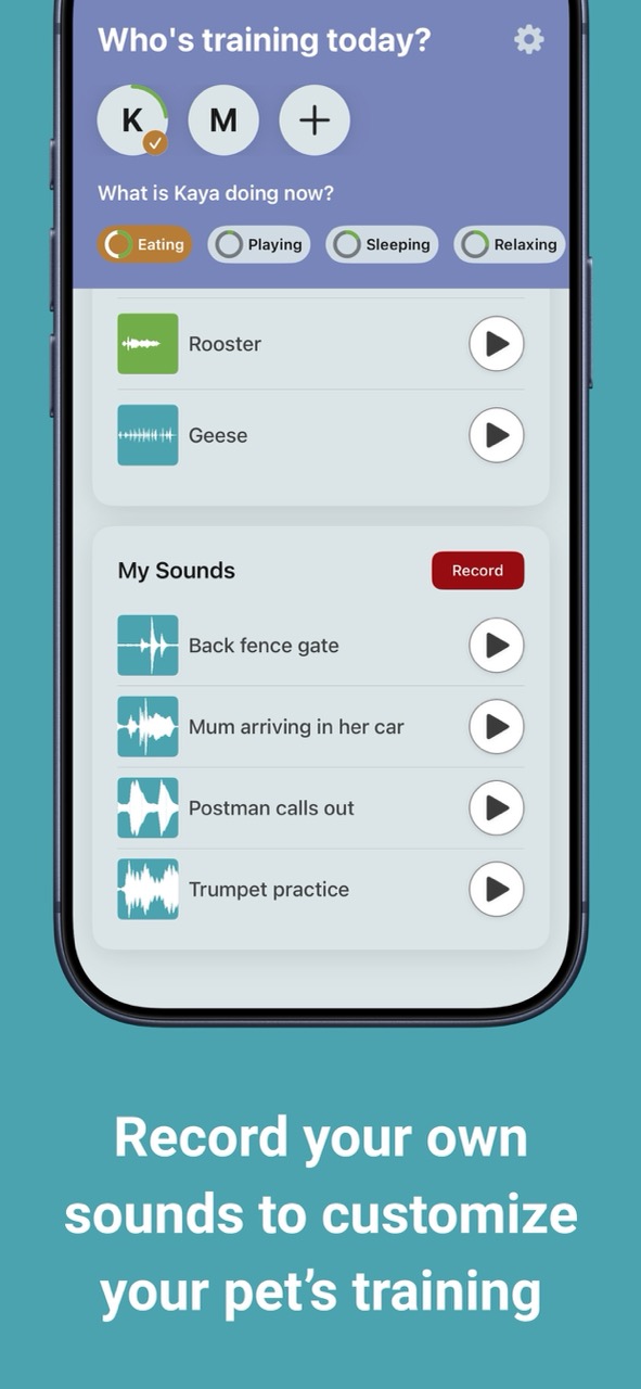 Calm Paws Screenshot 3